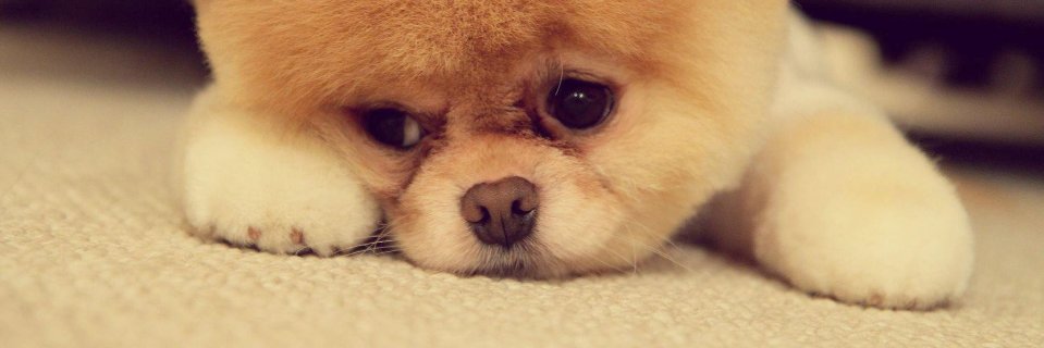 BabyBluee_7Cups's profile banner image