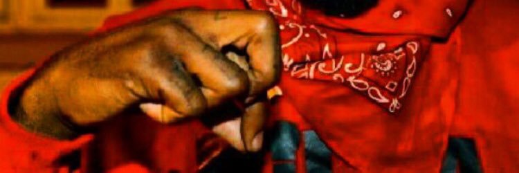 RellyNation's profile banner image
