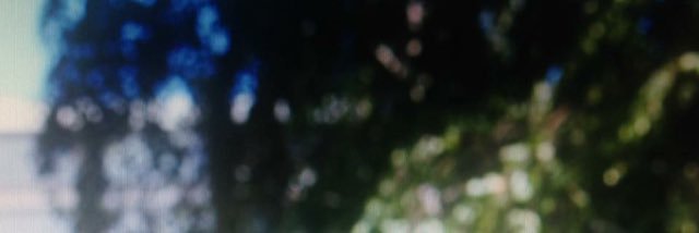 Cryptobucksz's profile banner image