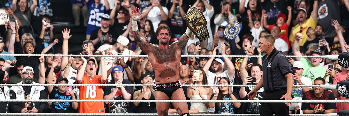 WWE banner
