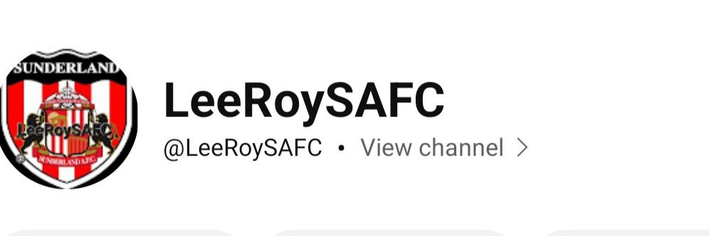 LeeRoySAFC's banner