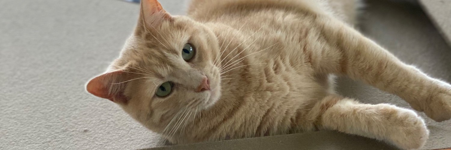 busterbrown234's profile banner image