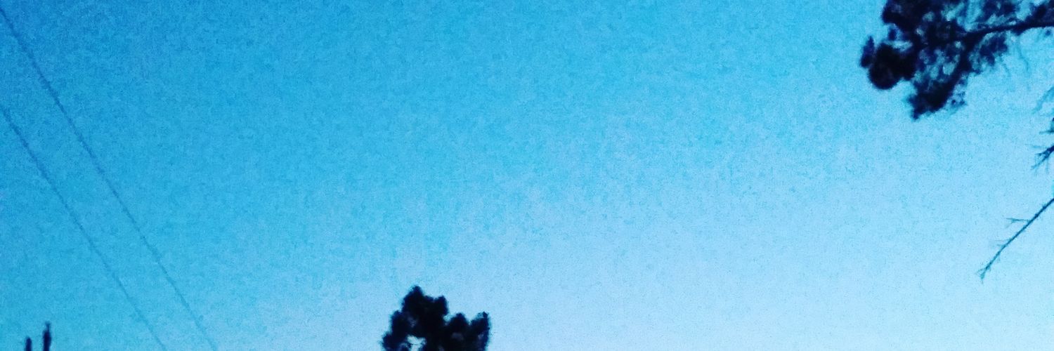 t banner