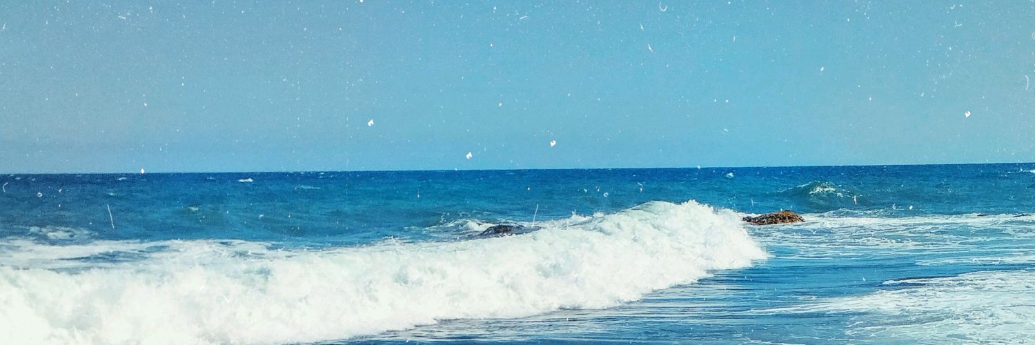anasegfer's profile banner image