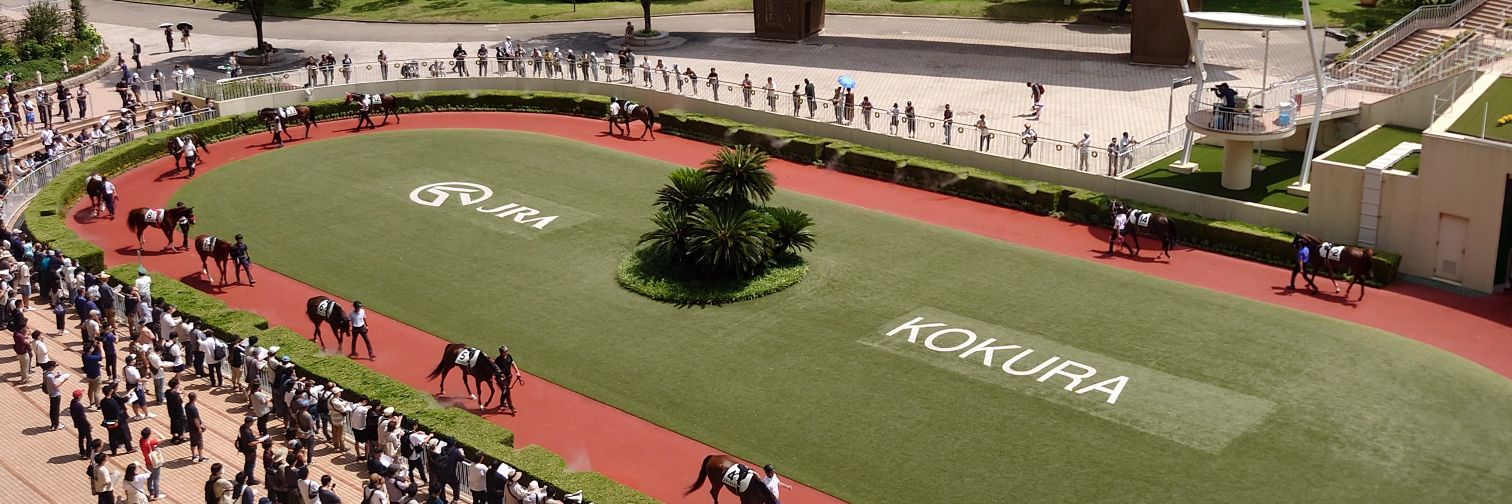 secretariat210's profile banner image