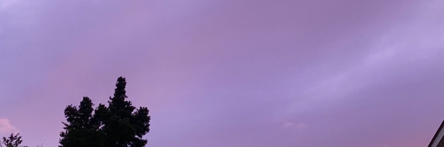 arison_marlene's profile banner image