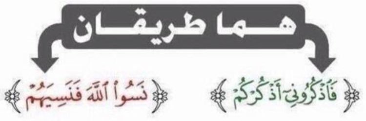 Meshil_8's profile banner image