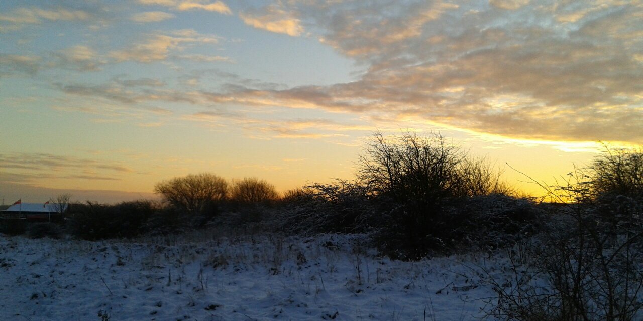 Bruce Davenport banner