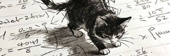 devinchison's profile banner image