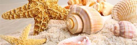 Michele8747's profile banner image