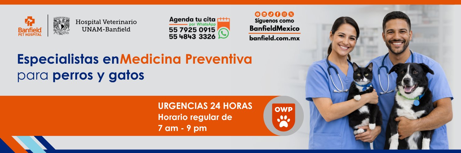 BanfieldMexico's profile banner image
