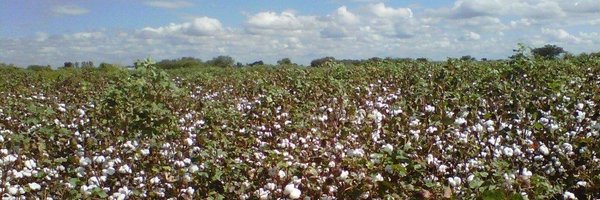 MarceloYasky Profile Banner