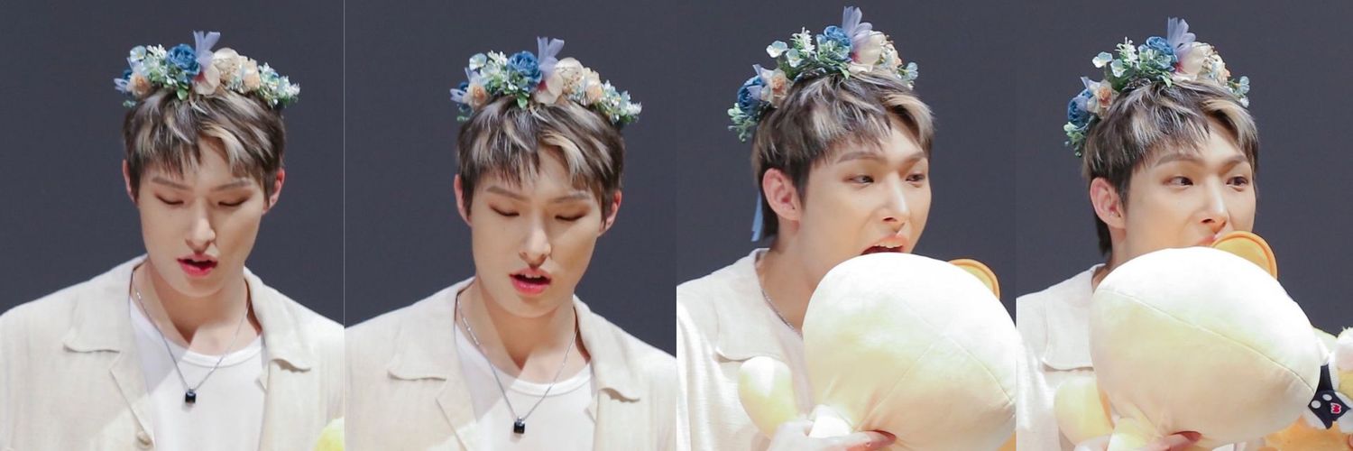 Didi Peña 🐝🌱🍃🐤🐥 banner