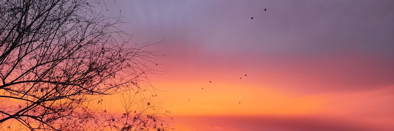 کاتالاکسی's banner