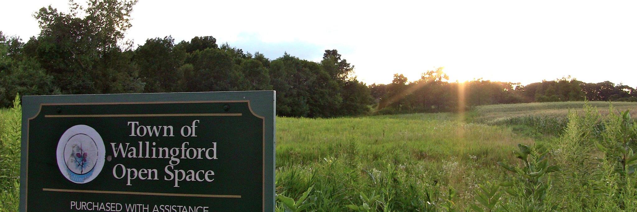 Wallingford CT Patch banner