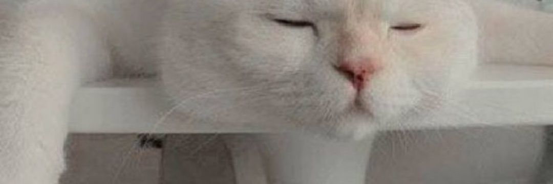 อะวิ♡ banner