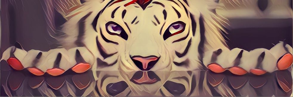 Lorcan Seatao banner