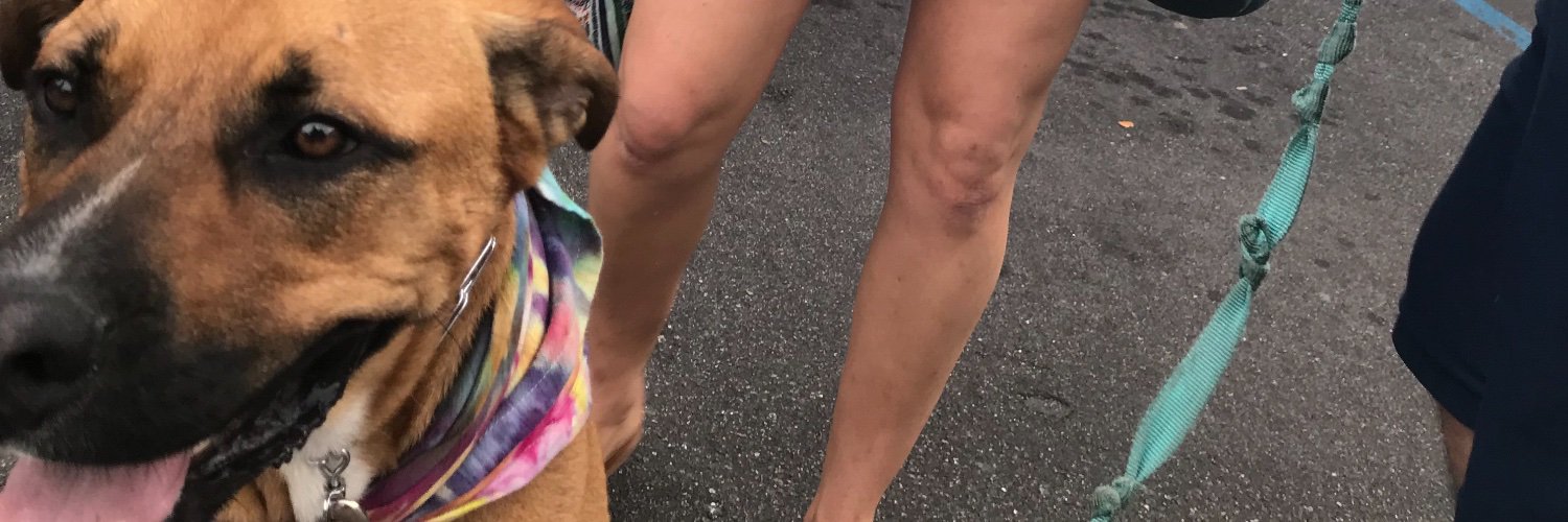 Princess Melda banner