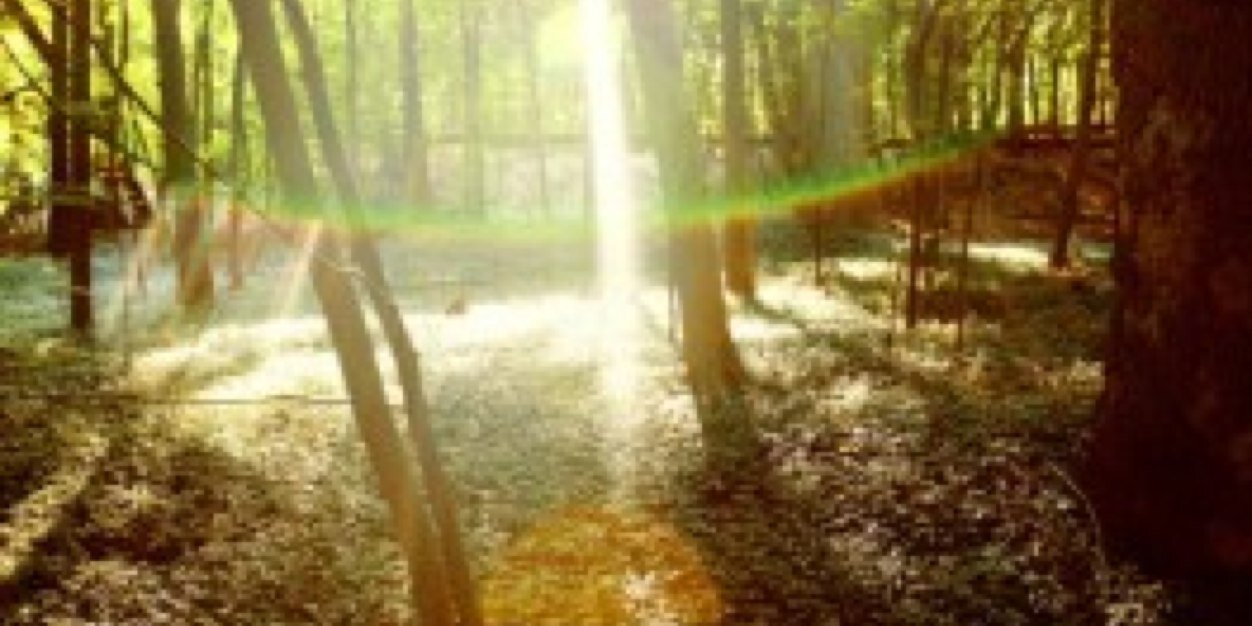 RankRulez's profile banner image