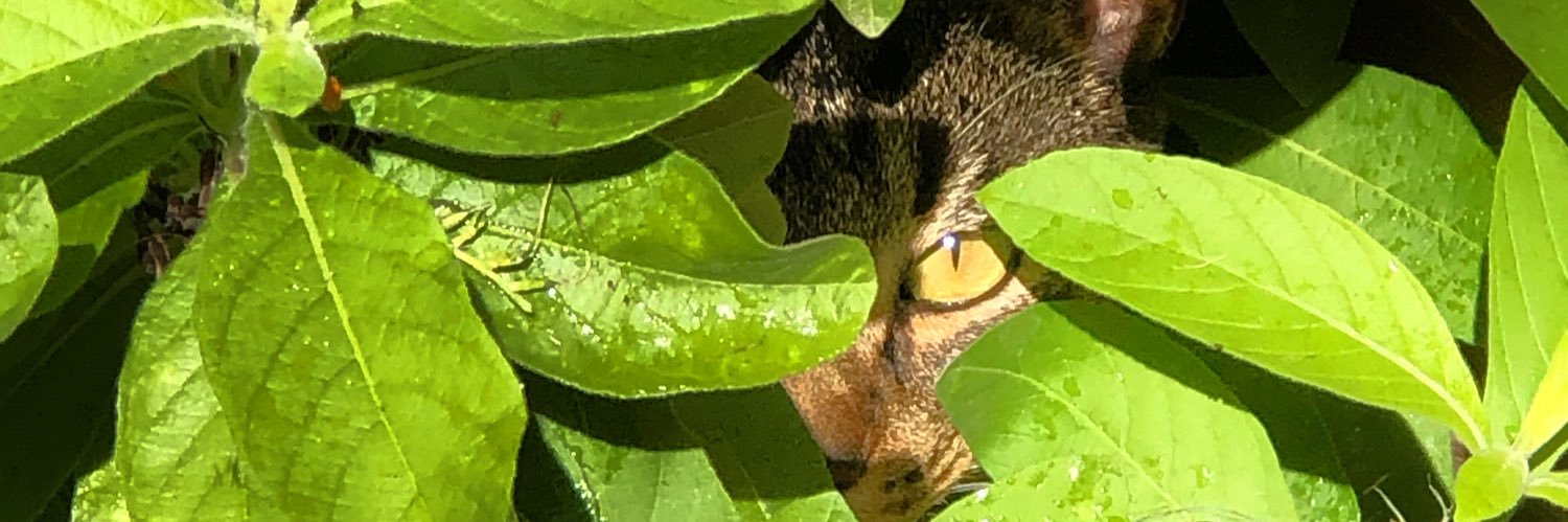 miche111e's profile banner image