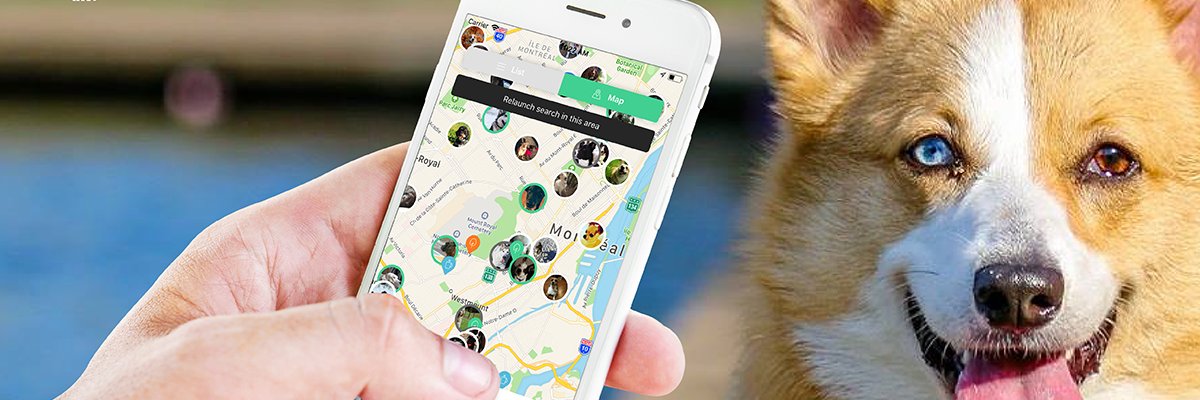 DogtimeCo's profile banner image