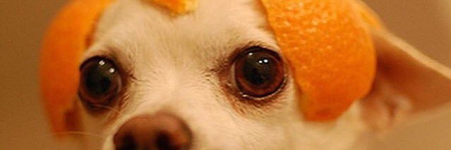 lore_mondragon's profile banner image