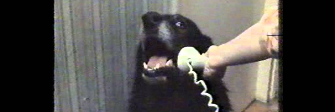 Matteo Lupieri banner