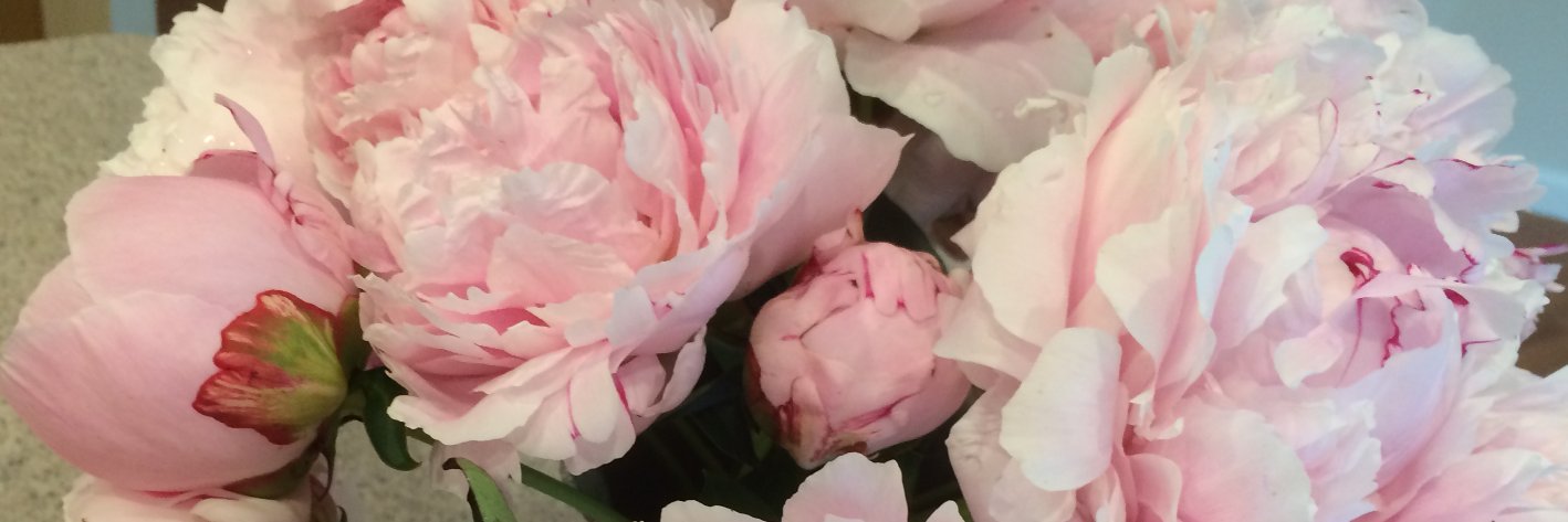 TaraRFee's profile banner image