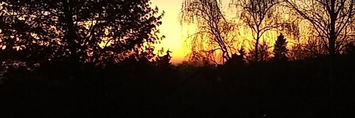 Cnoutine's profile banner image