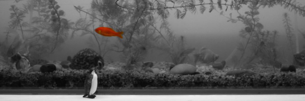 svwatson's profile banner image