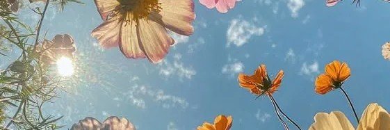 06_tattis's profile banner image