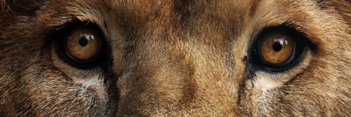 EmrahKmetas's profile banner image