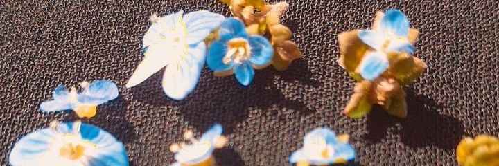kaderryvz's profile banner image