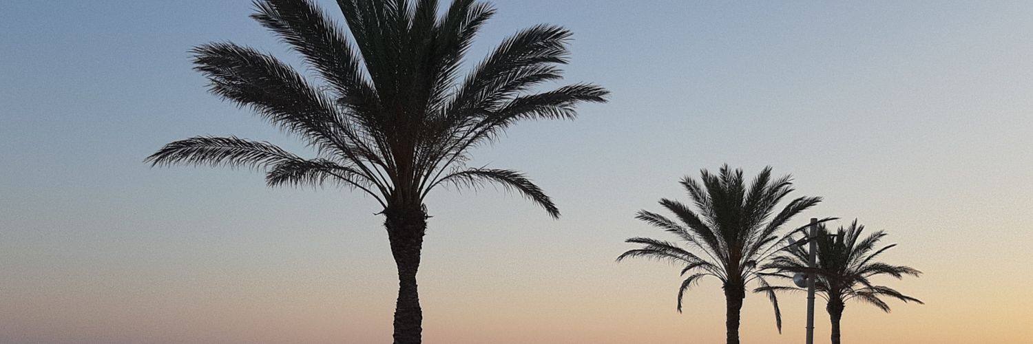 bertavilella's profile banner image