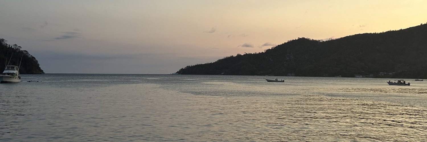 cherissse's profile banner image