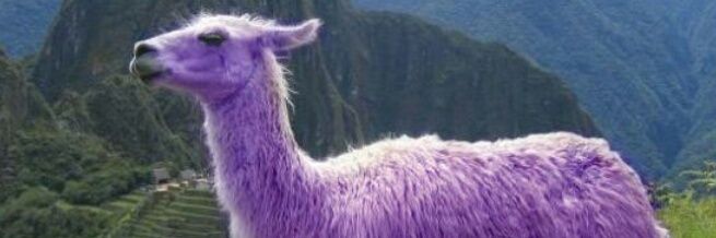 MirvisR's profile banner image