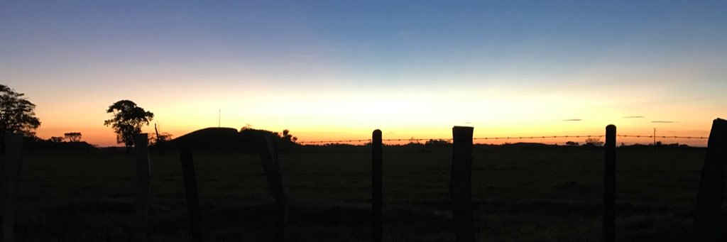 kole_91's profile banner image