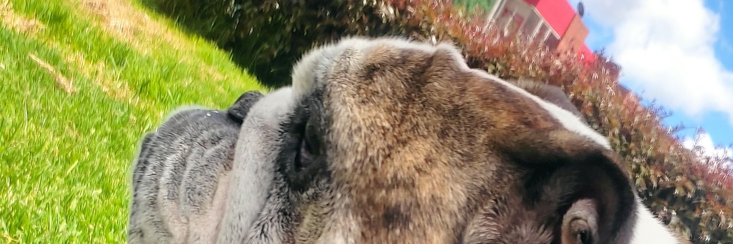 Felipe20M's profile banner image