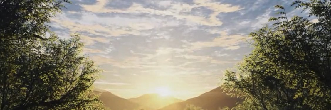 tukimaruniku's profile banner image