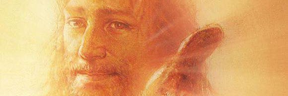 HerronJim's profile banner image