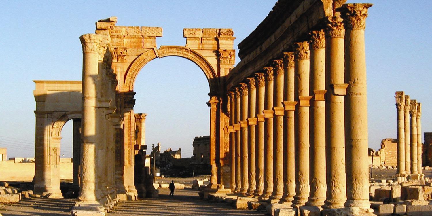 Desiree Bonis banner