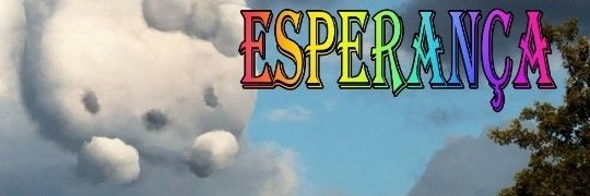 l u c y banner