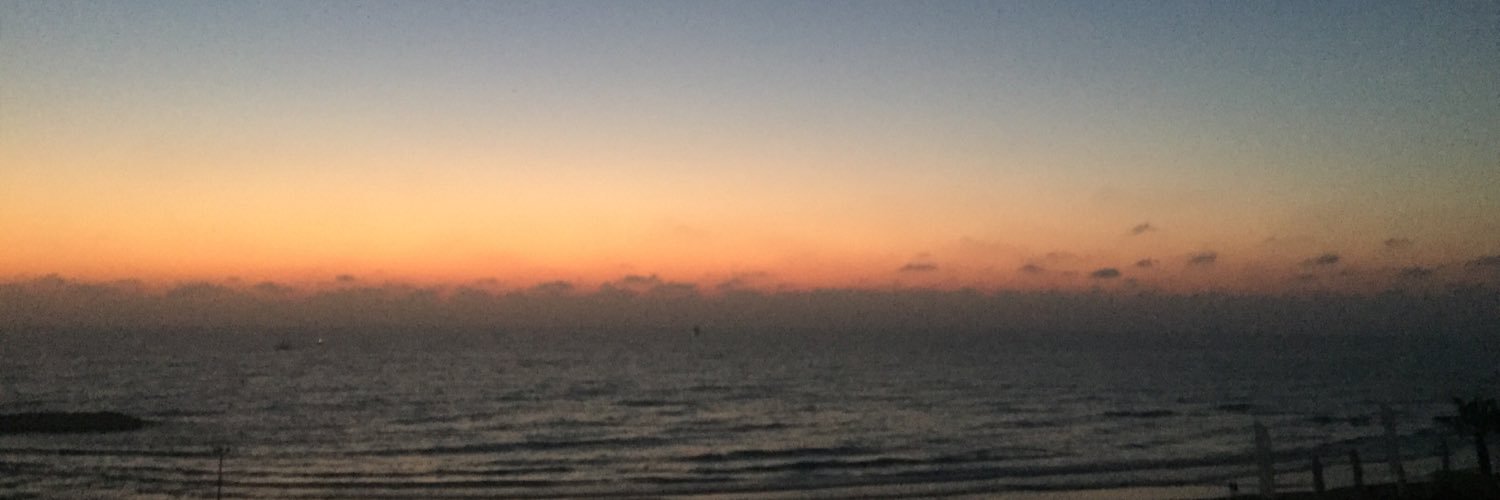 Ayelet Rotblat banner