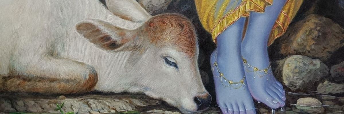 Arnaldonepu ᶜʳᶠ banner