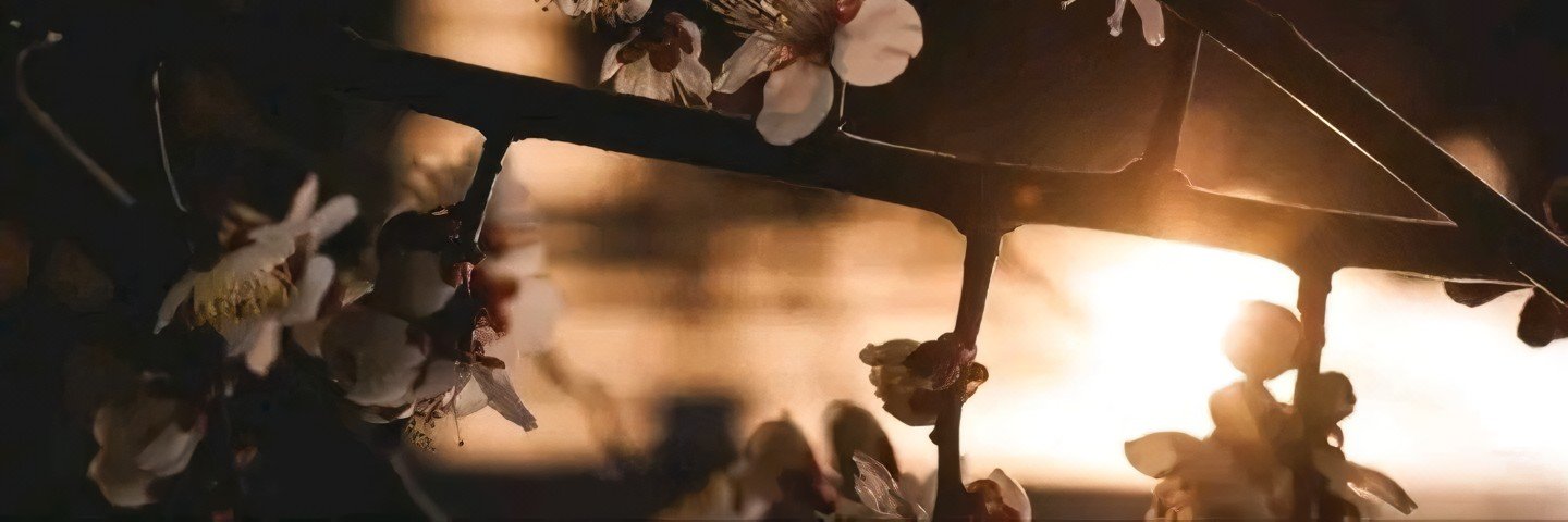 UnseenXiwei's profile banner image