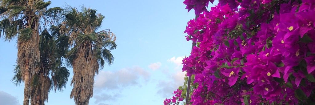 melinarlazaro's profile banner image