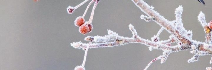 Baridimka's profile banner image