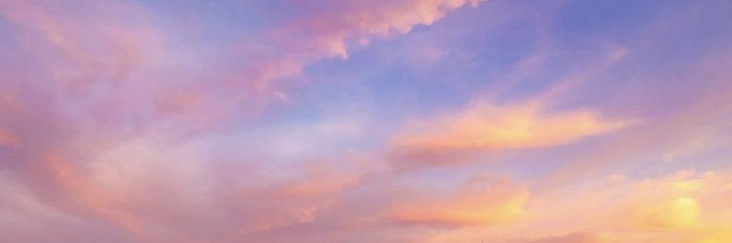 Mae_french15's profile banner image