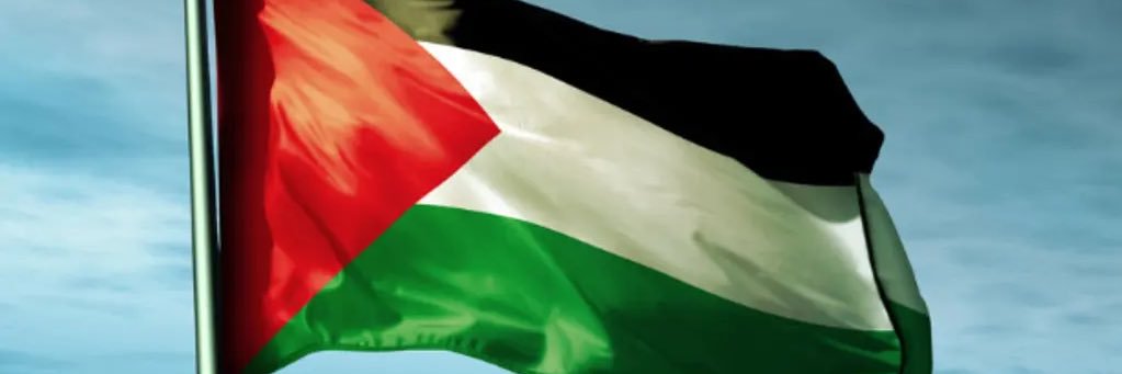 🇵🇸 banner