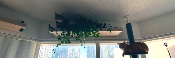 adamchenchew Profile Banner